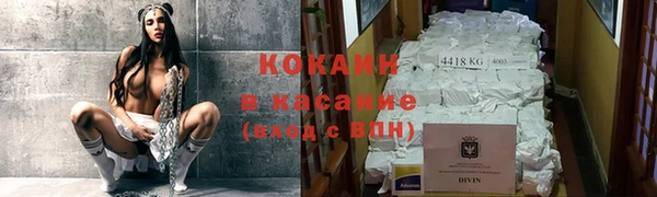 крисы Мегион