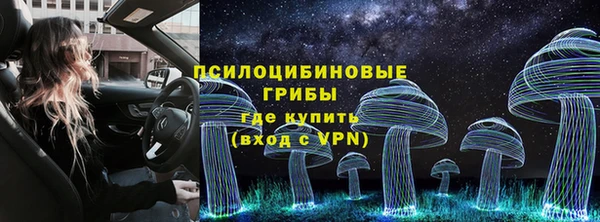 крисы Мегион