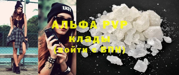 гидра Алексин