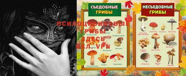не бодяженный Алзамай