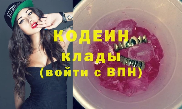 крисы Мегион