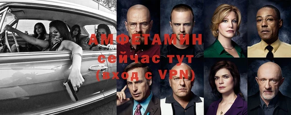 гашик Алексеевка
