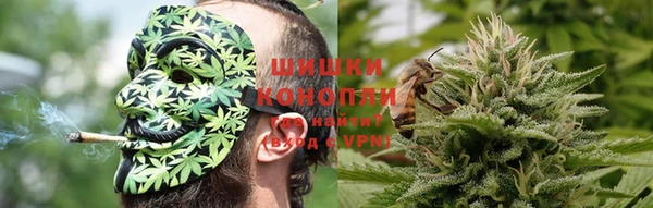 гашик Алексеевка