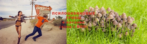 не бодяженный Алзамай
