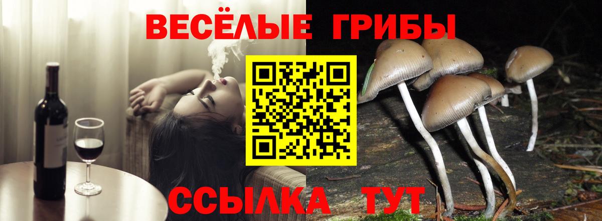 Петрозаводск  Альфа ПВП СОЛЬ кристаллы  Кокаин  Вход с VPN  Конопля  МЕФ кристаллы  Экстази 