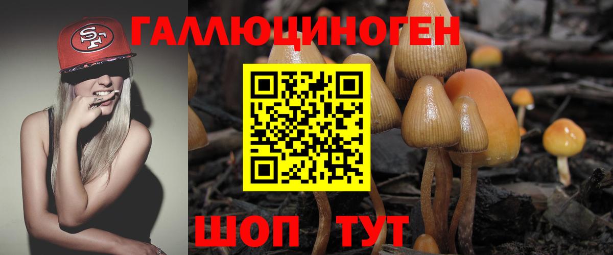 Псилоцибиновые грибы Cubensis  Вход с VPN  Петрозаводск  Галлюциногенные грибы мухоморы 