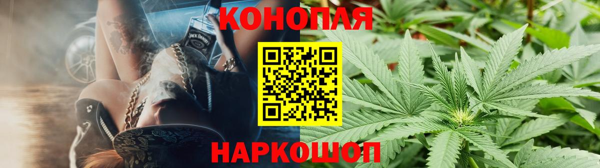 Каннабис планчик Петрозаводск